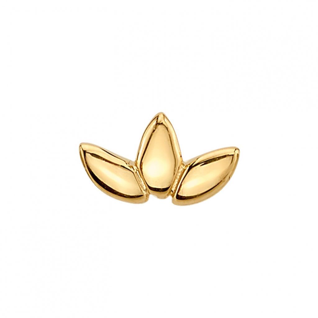 BVLA -Flat Marquise Fan 14k yellow gold end