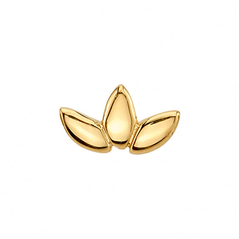 BVLA -Flat Marquise Fan 14k yellow gold end